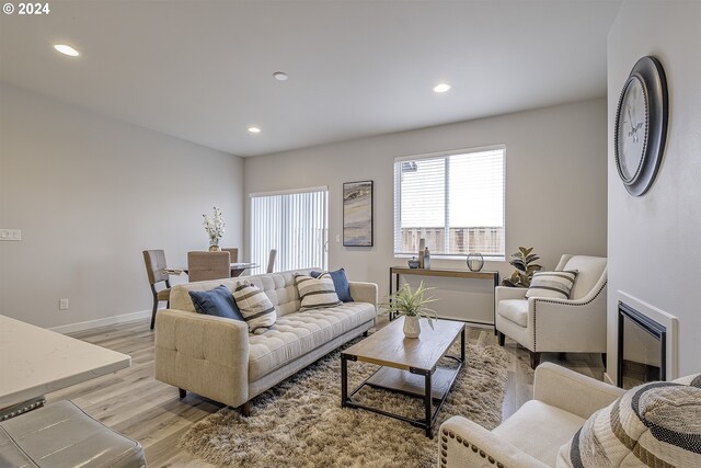 living room featuring a fireplace and light hardwood / wood-style flooring