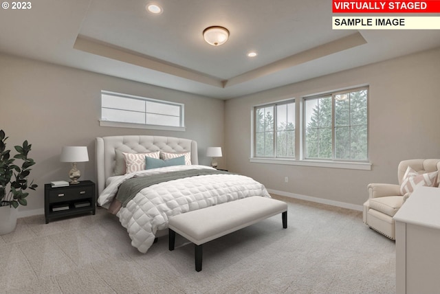 carpeted bedroom with multiple windows and a raised ceiling