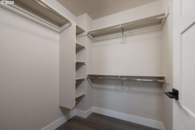 spacious closet with dark hardwood / wood-style flooring