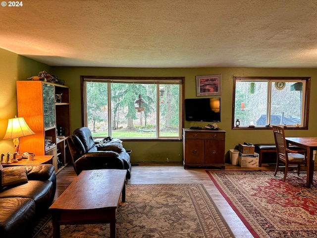 living room featuring a textured ceiling and hardwood / wood-style flooring