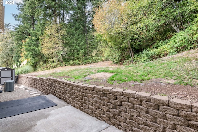 view of yard with a patio and central AC unit