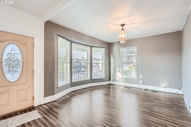 entrance foyer with dark hardwood / wood-style flooring and plenty of natural light