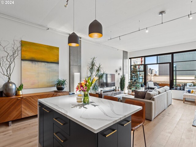 kitchen with pendant lighting, track lighting, and light hardwood / wood-style flooring