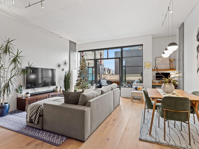 living room featuring light wood-type flooring