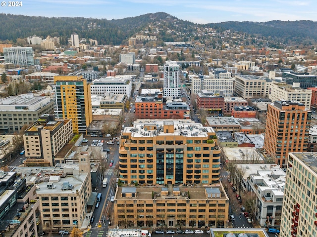 property's view of city with a mountain view