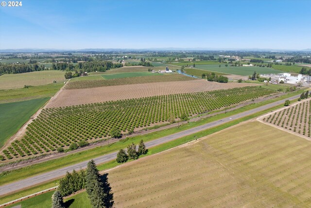 birds eye view of property featuring a rural view