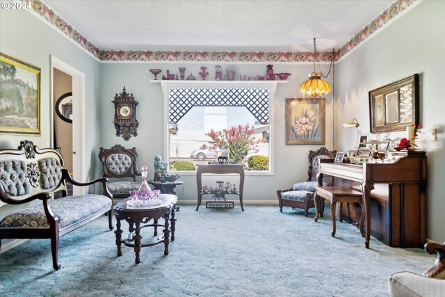 sitting room featuring carpet floors