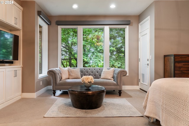 bedroom with light carpet