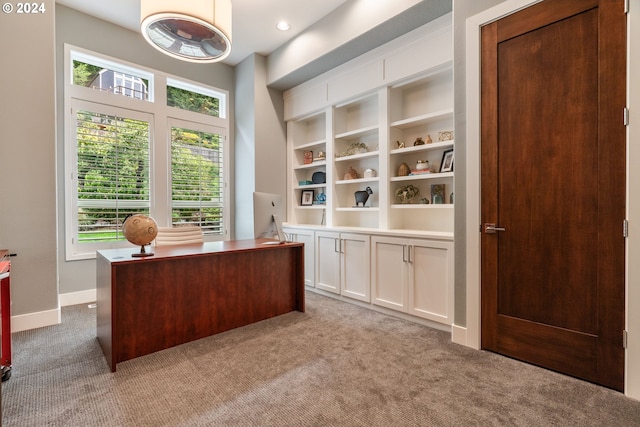 view of carpeted home office