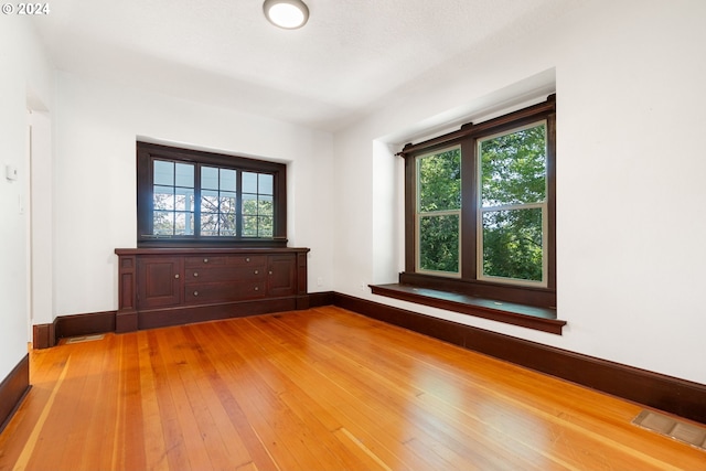 spare room featuring wood-type flooring