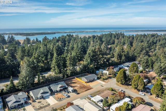 aerial view of residential area with a nearby body of water and a forest