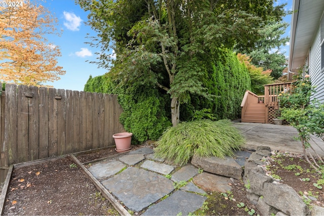 view of yard with a deck and a patio area