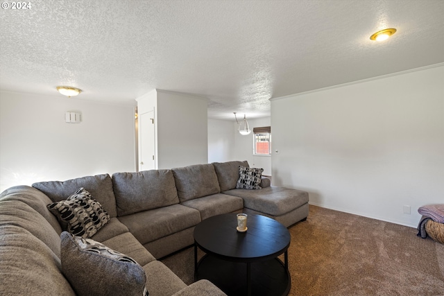 carpeted living room featuring a textured ceiling