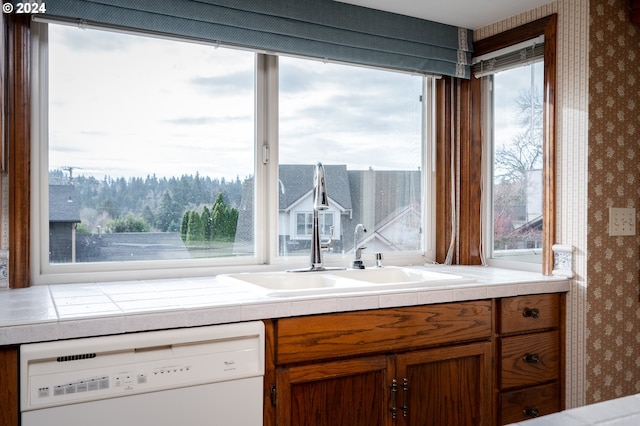 kitchen with sink, white dishwasher, and a healthy amount of sunlight