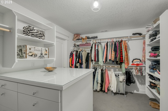 spacious closet featuring carpet floors