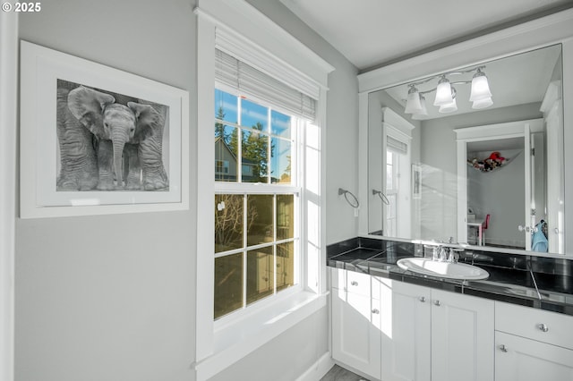 bathroom featuring vanity and a wealth of natural light