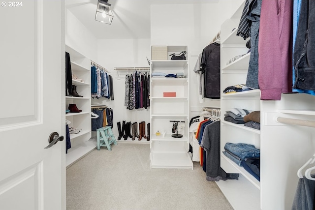 walk in closet with carpet