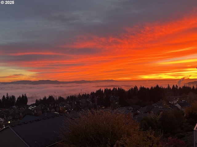 view of nature at dusk