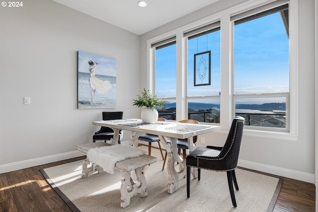 dining space with a healthy amount of sunlight, wood finished floors, and baseboards