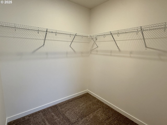 spacious closet featuring dark carpet