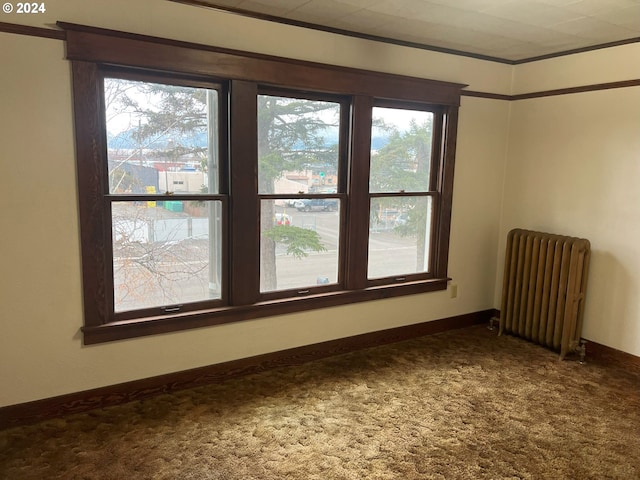 empty room with carpet flooring, radiator heating unit, crown molding, and a wealth of natural light