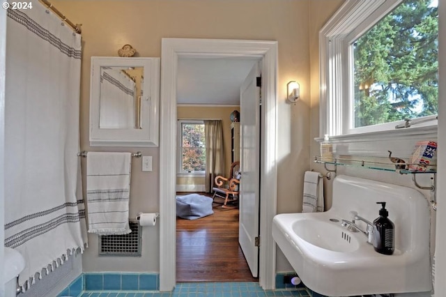 bathroom with sink, ornamental molding, and hardwood / wood-style floors