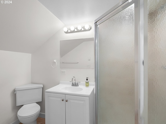 bathroom featuring toilet, vanity, vaulted ceiling, and a shower with door