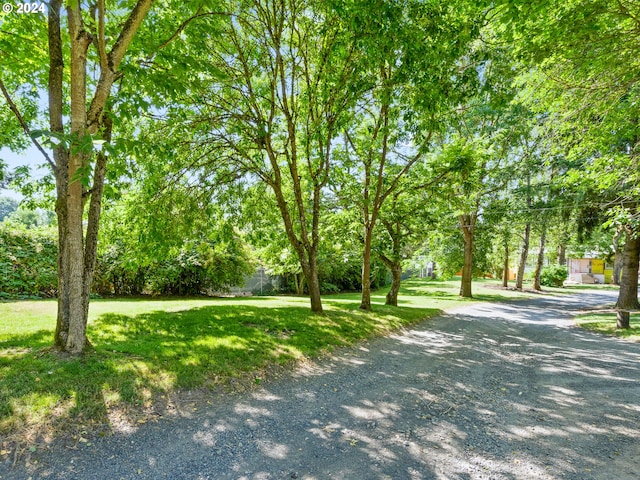 view of property's community with a lawn