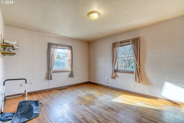 spare room with light hardwood / wood-style flooring and a healthy amount of sunlight