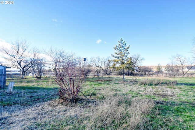 view of yard with a rural view