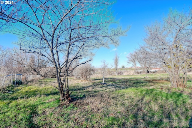 view of yard with a rural view