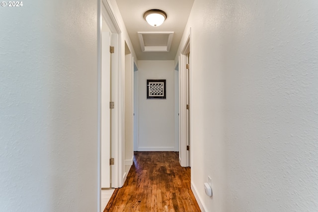 corridor with dark wood-type flooring