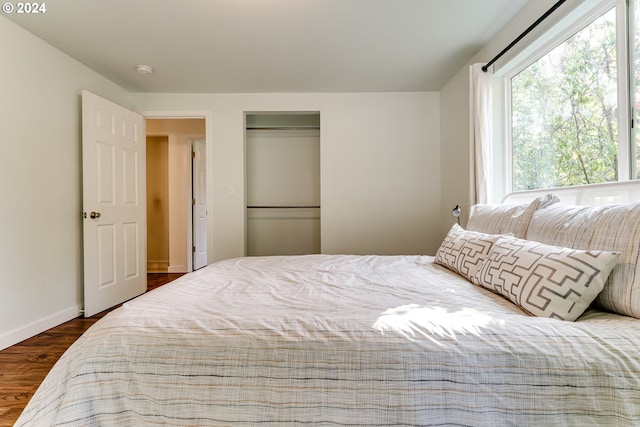 bedroom with dark wood-type flooring