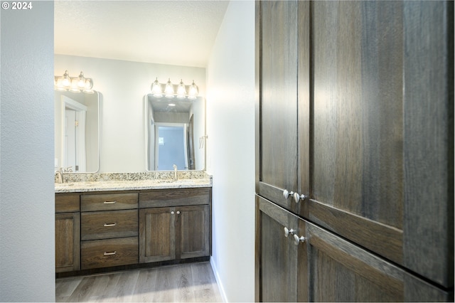 bathroom with hardwood / wood-style flooring and vanity