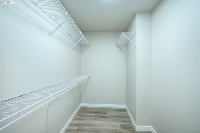 spacious closet with light hardwood / wood-style flooring