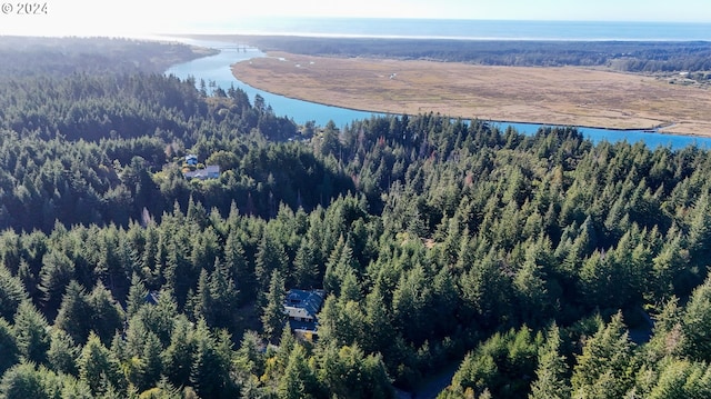 89464 Sunny Loop Ln, Bandon, OR 97411 - drone / aerial view of a large body of water