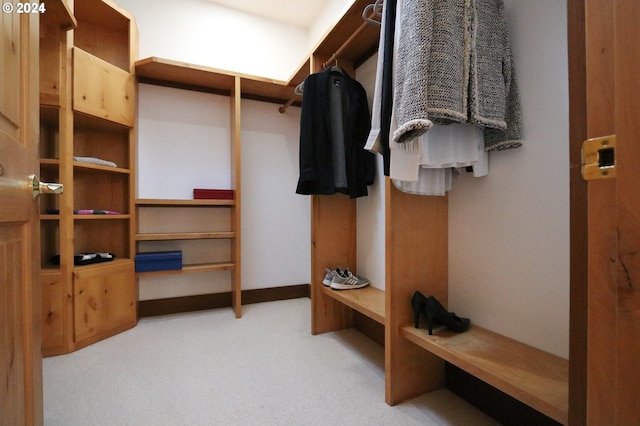 spacious closet featuring carpet floors