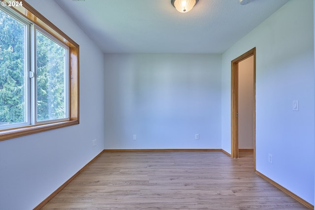 empty room featuring a wealth of natural light and light hardwood / wood-style floors