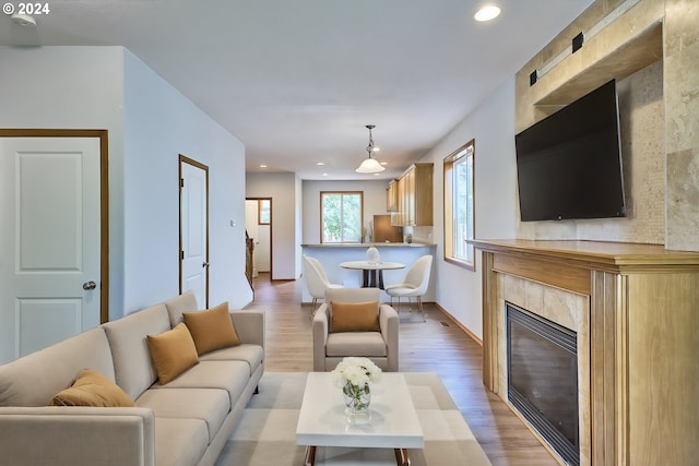 living room featuring a premium fireplace and light hardwood / wood-style floors