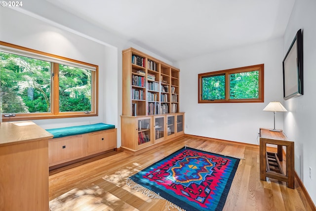 6733 NW Cornell Rd, Portland, OR 97229 - living area featuring light wood finished floors and baseboards