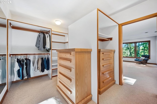 6733 NW Cornell Rd, Portland, OR 97229 - walk in closet featuring light carpet