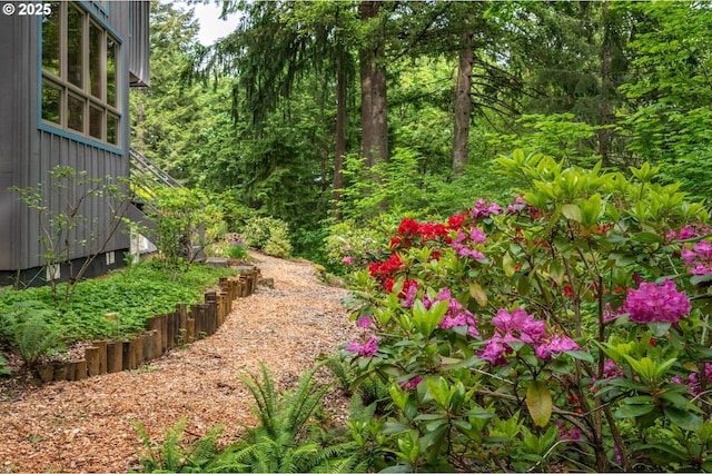 6733 NW Cornell Rd, Portland, OR 97229 - view of yard