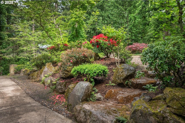 6733 NW Cornell Rd, Portland, OR 97229 - view of yard