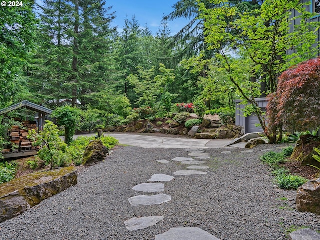 6733 NW Cornell Rd, Portland, OR 97229 - view of yard