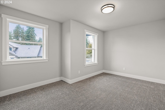 empty room with carpet and a healthy amount of sunlight