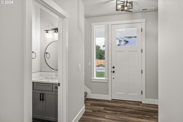 foyer entrance featuring plenty of natural light, dark wood-type flooring, and sink