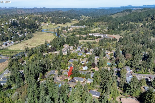 birds eye view of property featuring a mountain view