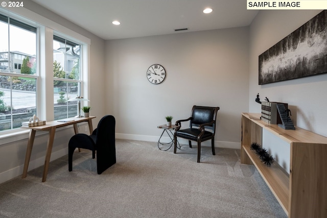 office space with plenty of natural light and light colored carpet