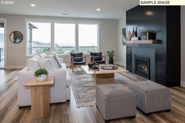 living room with hardwood / wood-style floors and a large fireplace