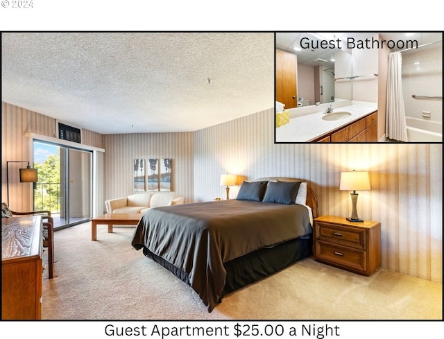 carpeted bedroom with sink